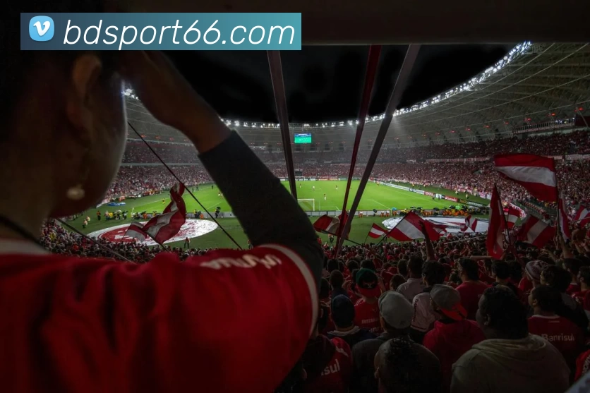 半岛体育全站App